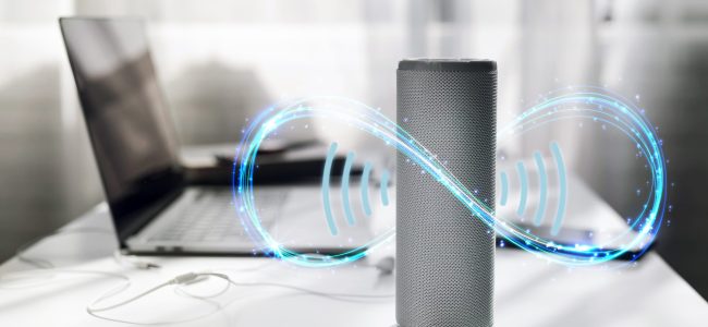 managing-smart-speakers-concept (1)